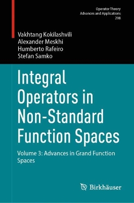 Integral Operators in Non-Standard Function Spaces: Volume 3: Advances in Grand Function Spaces
