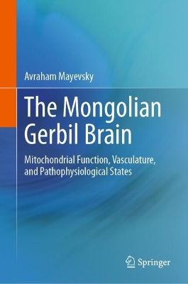 Mongolian Gerbil Brain: Mitochondrial Function, Vasculature, and Pathophysiological States 2024 ed.