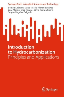 Introduction to Hydrocarbonization: Principles and Applications 2024 ed.
