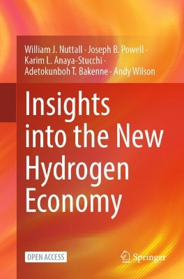 Insights into the New Hydrogen Economy 2025 ed.