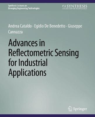 Advances in Reflectometric Sensing for Industrial Applications
