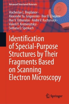 Identification of Special-Purpose Structures by Their Fragments Based on  Scanning Electron Microscopy