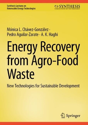 Energy Recovery from Agro-Food Waste: New Technologies for Sustainable Development