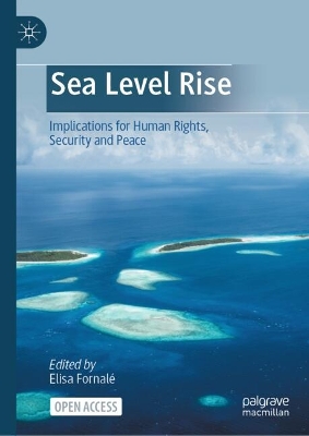 Sea Level Rise: Implications for Human Rights, Security, and Peace