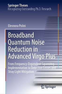 Broadband Quantum Noise Reduction in Advanced Virgo Plus: From Frequency-Dependent Squeezing Implementation to Detection Losses and  Stray Light Mitigation