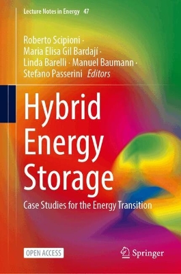 Hybrid Energy Storage: Case Studies for the Energy Transition