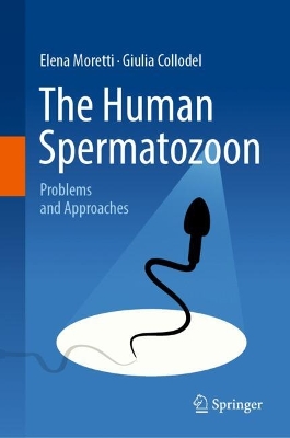 Human Spermatozoon: Problems and Approaches