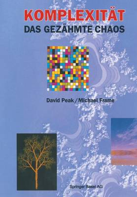Komplexität  das gezähmte Chaos Softcover reprint of the original 1st ed. 1995