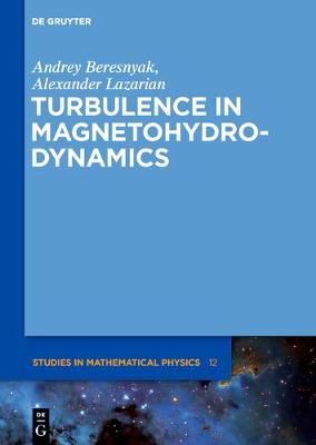 Turbulence in Magnetohydrodynamics