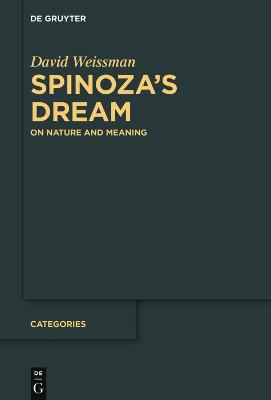 Spinozas Dream: On Nature and Meaning