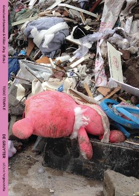 Toxic Temple: An Artistic and Philosophical Adventure into the Toxicity of the Now New edition