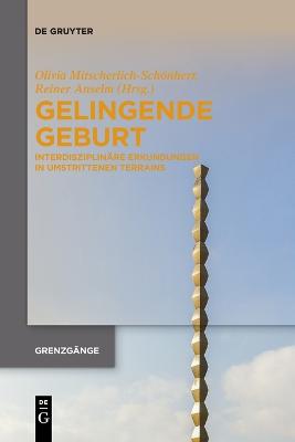 Gelingende Geburt: Interdisziplinäre Erkundungen in umstrittenen Terrains
