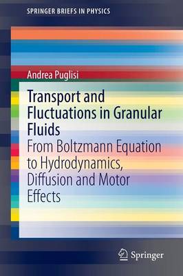Transport and Fluctuations in Granular Fluids: From Boltzmann Equation to Hydrodynamics, Diffusion and Motor Effects 2015 ed.