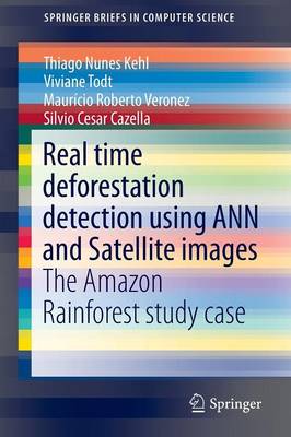 Real time deforestation detection using ANN and Satellite images: The Amazon Rainforest study case 2015 ed.