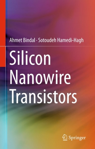 Silicon Nanowire Transistors