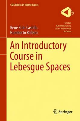 Introductory Course in Lebesgue Spaces 1st ed. 2016