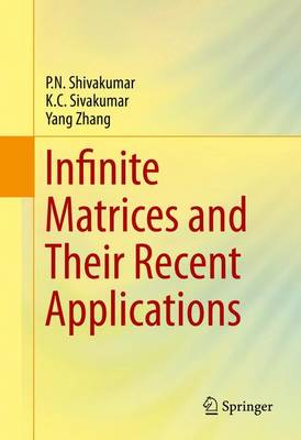 Infinite Matrices and Their Recent Applications 1st ed. 2016