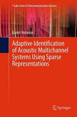 Adaptive Identification of Acoustic Multichannel Systems Using Sparse  Representations Softcover reprint of the original 1st ed. 2015