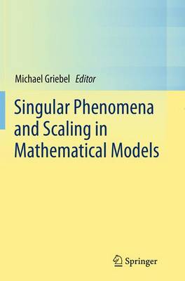 Singular Phenomena and Scaling in Mathematical Models Softcover reprint of the original 1st ed. 2014