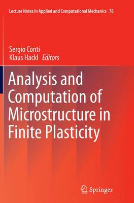 Analysis and Computation of Microstructure in Finite Plasticity Softcover reprint of the original 1st ed. 2015