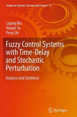 Fuzzy Control Systems with Time-Delay and Stochastic Perturbation: Analysis and Synthesis Softcover reprint of the original 1st ed. 2015