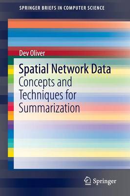 Spatial Network Data: Concepts and Techniques for Summarization 1st ed. 2016
