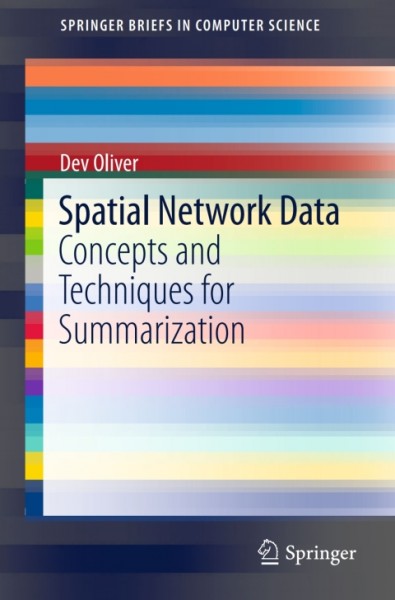 Spatial Network Data: Concepts and Techniques for Summarization