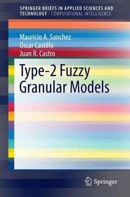 Type-2 Fuzzy Granular Models 1st ed. 2017