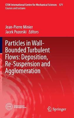 Particles in Wall-Bounded Turbulent Flows: Deposition, Re-Suspension and  Agglomeration 1st ed. 2017
