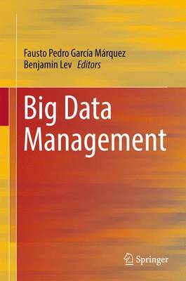 Big Data Management 1st ed. 2017
