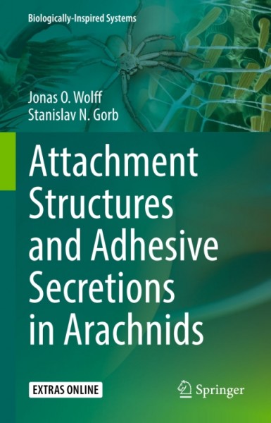 Attachment Structures and Adhesive Secretions in Arachnids