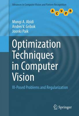 Optimization Techniques in Computer Vision: Ill-Posed Problems and Regularization 1st ed. 2016