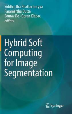 Hybrid Soft Computing for Image Segmentation 1st ed. 2016