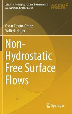 Non-Hydrostatic Free Surface Flows 1st ed. 2017