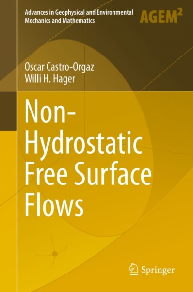 Non-Hydrostatic Free Surface Flows