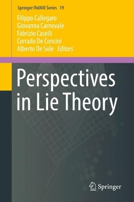 Perspectives in Lie Theory 1st ed. 2017