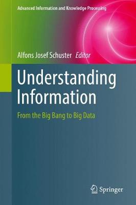 Understanding Information: From the Big Bang to Big Data 1st ed. 2017