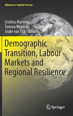 Demographic Transition, Labour Markets and Regional Resilience 1st ed. 2017
