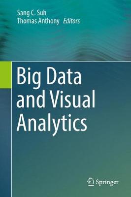 Big Data and Visual Analytics 1st ed. 2017