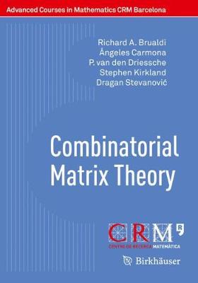 Combinatorial Matrix Theory 1st ed. 2018