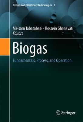 Biogas: Fundamentals, Process, and Operation
