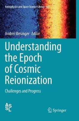 Understanding the Epoch of Cosmic Reionization: Challenges and Progress Softcover reprint of the original 1st ed. 2016