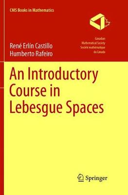 Introductory Course in Lebesgue Spaces Softcover reprint of the original 1st ed. 2016