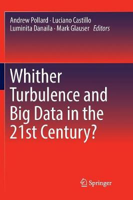 Whither Turbulence and Big Data in the 21st Century? Softcover reprint of the original 1st ed. 2017