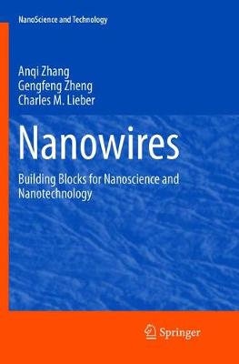Nanowires: Building Blocks for Nanoscience and Nanotechnology Softcover reprint of the original 1st ed. 2016