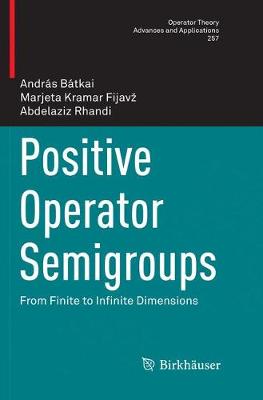 Positive Operator Semigroups: From Finite to Infinite Dimensions Softcover reprint of the original 1st ed. 2017