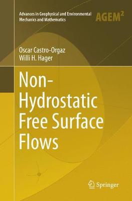 Non-Hydrostatic Free Surface Flows Softcover reprint of the original 1st ed. 2017