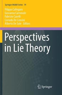 Perspectives in Lie Theory Softcover reprint of the original 1st ed. 2017