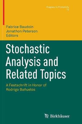 Stochastic Analysis and Related Topics: A Festschrift in Honor of Rodrigo Bañuelos Softcover reprint of the original 1st ed. 2017