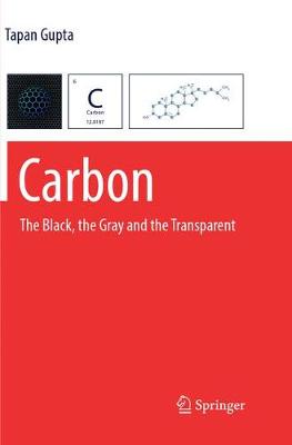 Carbon: The Black, the Gray and the Transparent Softcover reprint of the original 1st ed. 2018